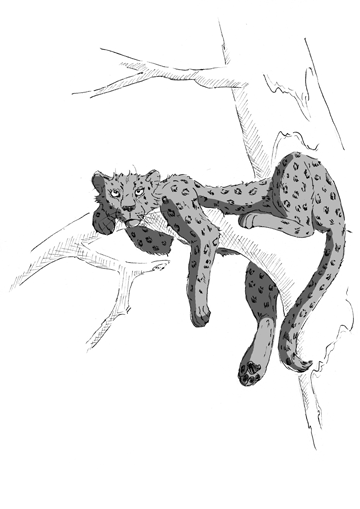 Hatibu, die Erzählerin